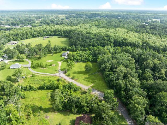 12226 and 12246 Peter Bourgeois Rd, St Amant, LA 70774
