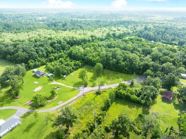 12226 and 12246 Peter Bourgeois Rd, St Amant, LA 70774