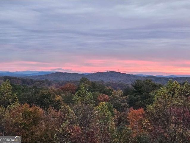 259 Red Bush School Road, Blue Ridge, GA 30513