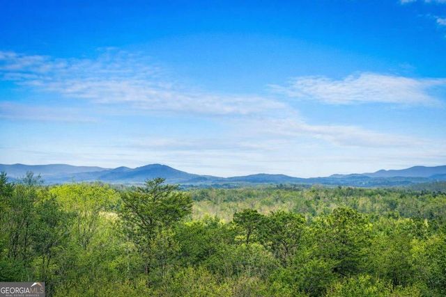 259 Red Bush School Road, Blue Ridge, GA 30513