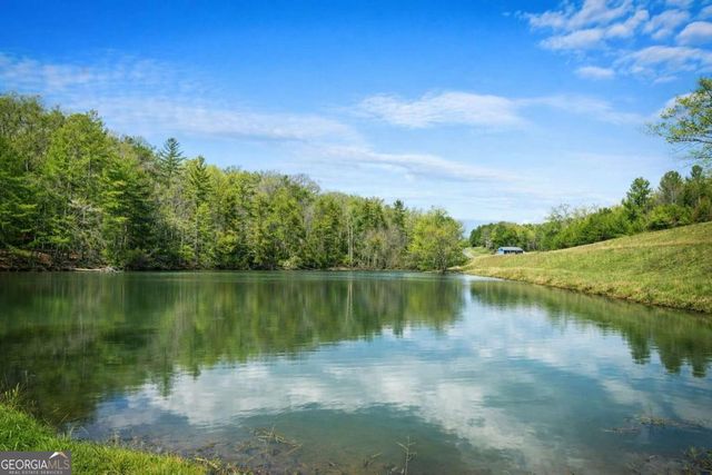 259 Red Bush School Road, Blue Ridge, GA 30513