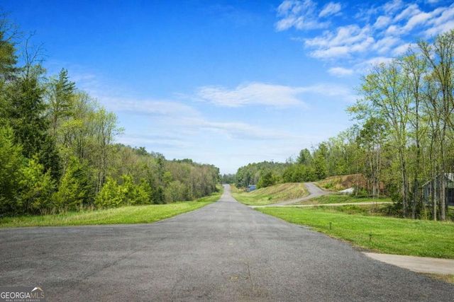 259 Red Bush School Road, Blue Ridge, GA 30513