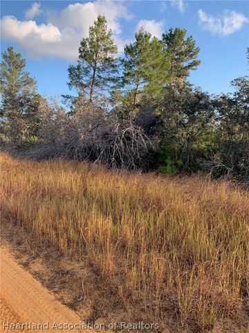 2907 W Seville Drive, Avon Park, FL 33825