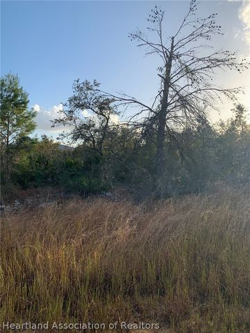 2907 W Seville Drive, Avon Park, FL 33825