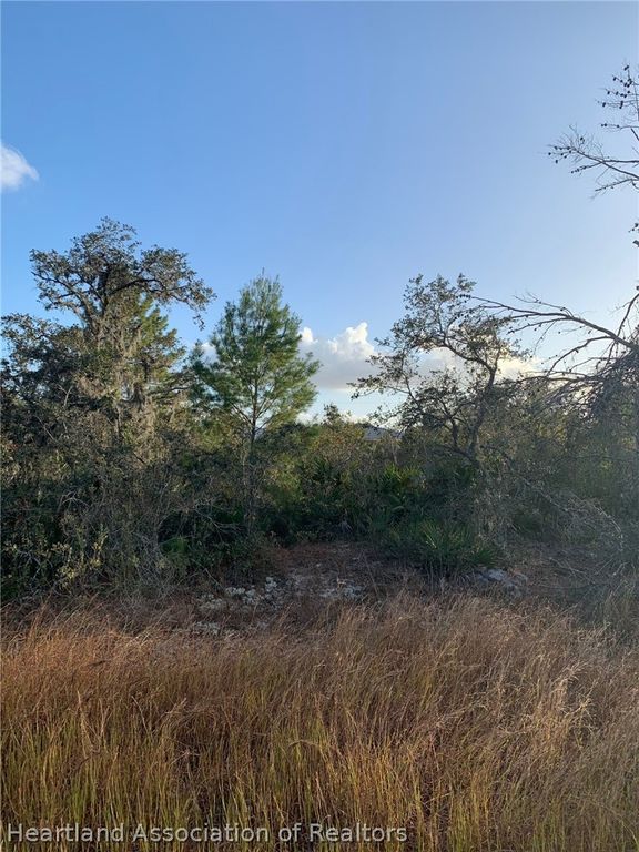 2907 W Seville Drive, Avon Park, FL 33825