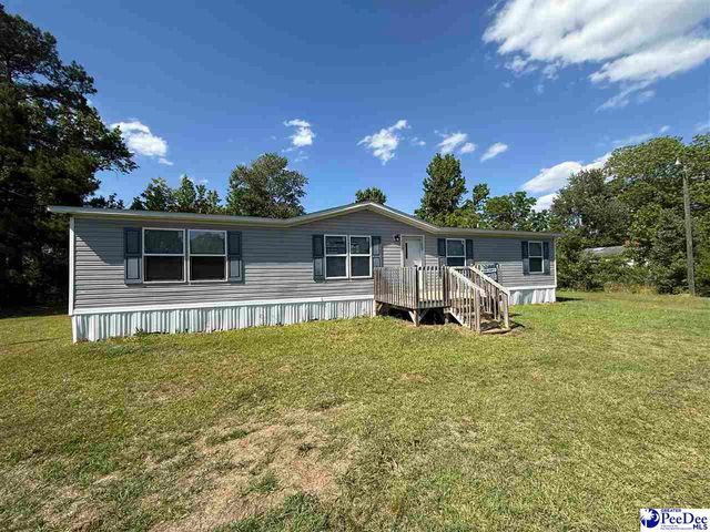 4905 Mount Sinai Church Rd, Lynchburg, SC 29080