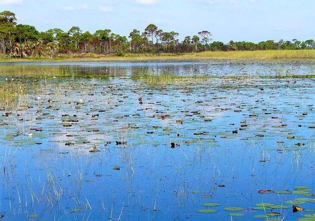672 NE Bent Paddle Lane, Port St Lucie, FL 34983