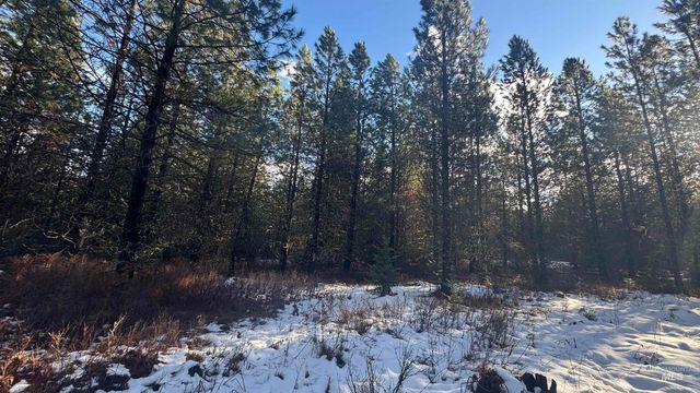 Parcel 19 Band Mill Loop Rd, Orofino, ID 83544