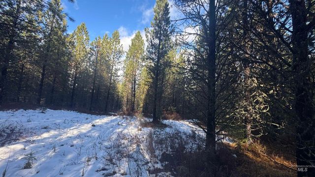 Parcel 19 Band Mill Loop Rd, Orofino, ID 83544