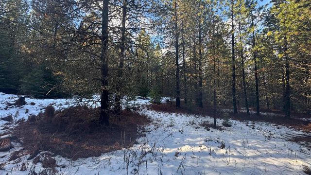 Parcel 19 Band Mill Loop Rd, Orofino, ID 83544