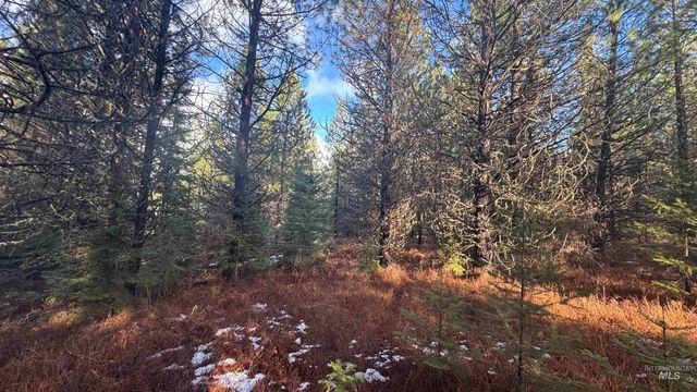 Parcel 19 Band Mill Loop Rd, Orofino, ID 83544