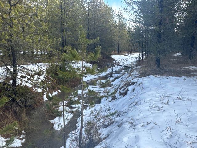 Parcel 19 Band Mill Loop Rd, Orofino, ID 83544