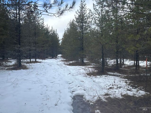 Parcel 19 Band Mill Loop Rd, Orofino, ID 83544