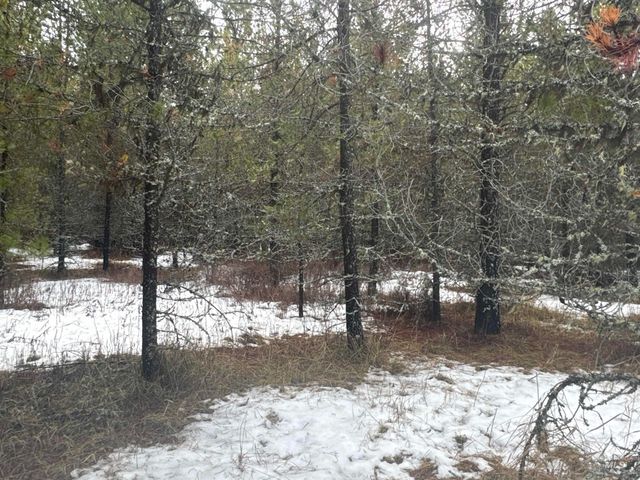 Parcel 19 Band Mill Loop Rd, Orofino, ID 83544