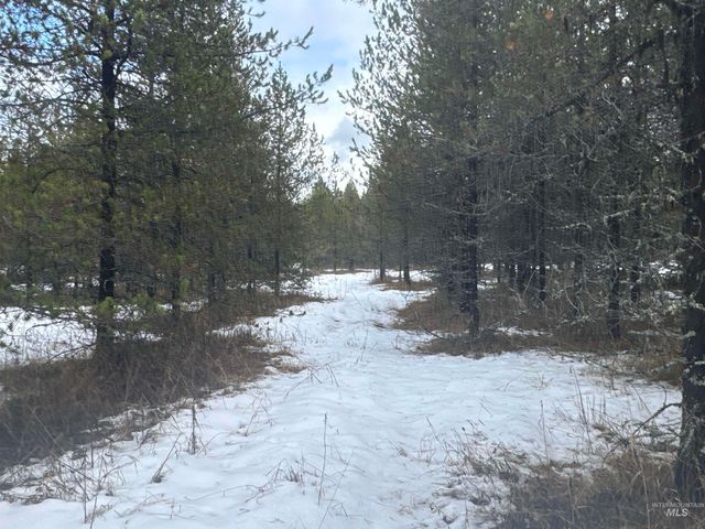 Parcel 19 Band Mill Loop Rd, Orofino, ID 83544