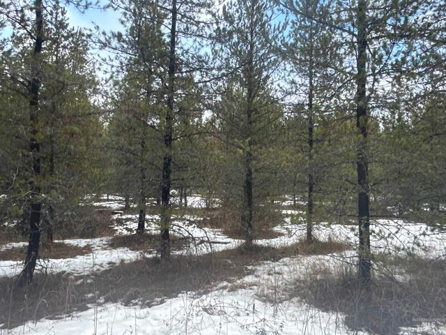 Parcel 19 Band Mill Loop Rd, Orofino, ID 83544