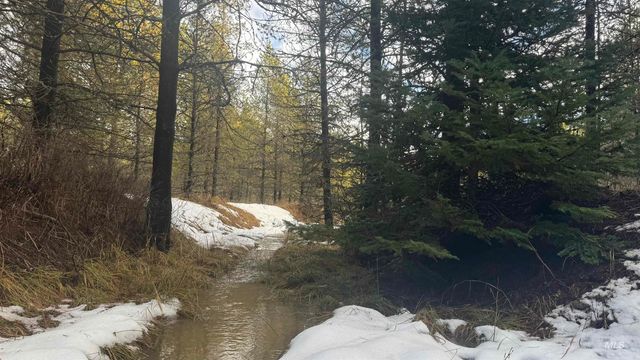 Parcel 19 Band Mill Loop Rd, Orofino, ID 83544