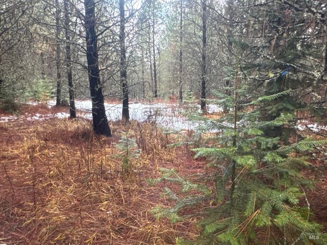 Parcel 19 Band Mill Loop Rd, Orofino, ID 83544