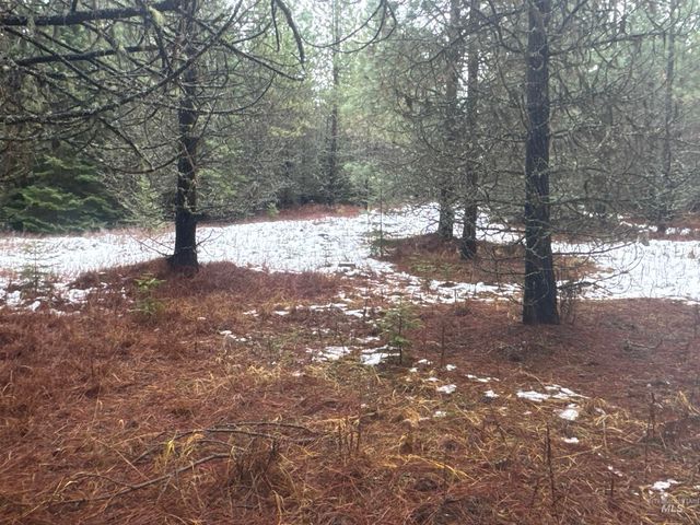 Parcel 19 Band Mill Loop Rd, Orofino, ID 83544