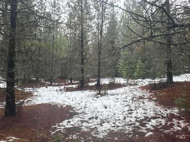 Parcel 19 Band Mill Loop Rd, Orofino, ID 83544