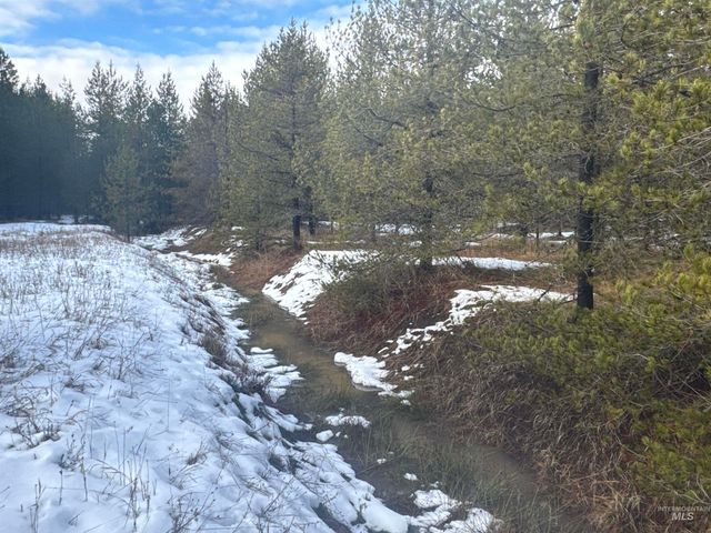 Parcel 19 Band Mill Loop Rd, Orofino, ID 83544