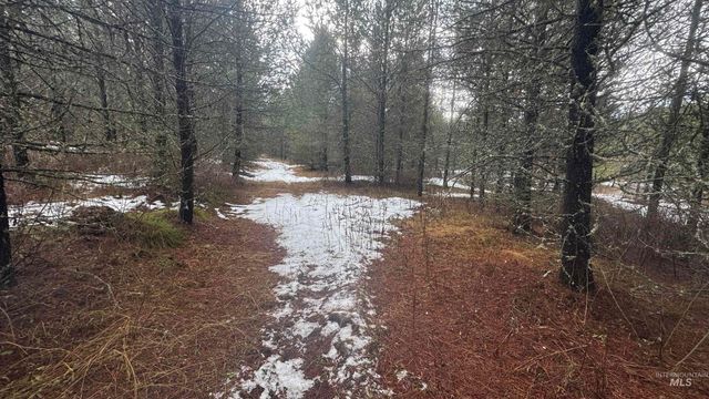 Parcel 19 Band Mill Loop Rd, Orofino, ID 83544