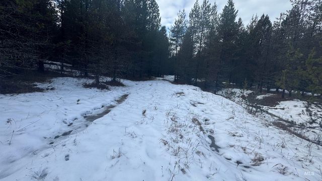 Parcel 19 Band Mill Loop Rd, Orofino, ID 83544