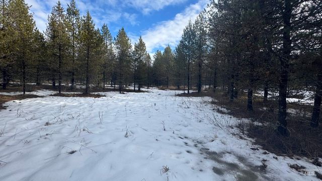 Parcel 19 Band Mill Loop Rd, Orofino, ID 83544