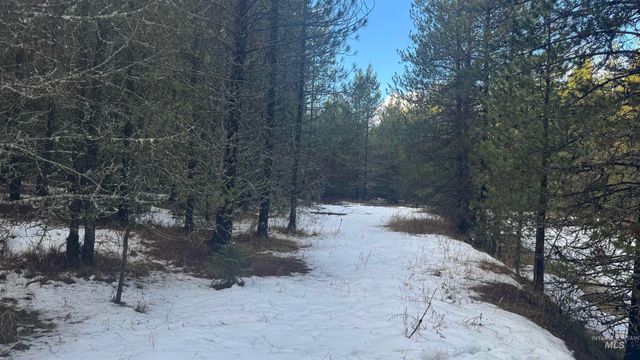 Parcel 19 Band Mill Loop Rd, Orofino, ID 83544