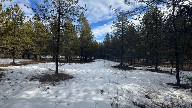 Parcel 19 Band Mill Loop Rd, Orofino, ID 83544