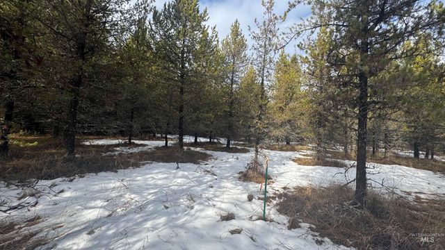 Parcel 19 Band Mill Loop Rd, Orofino, ID 83544