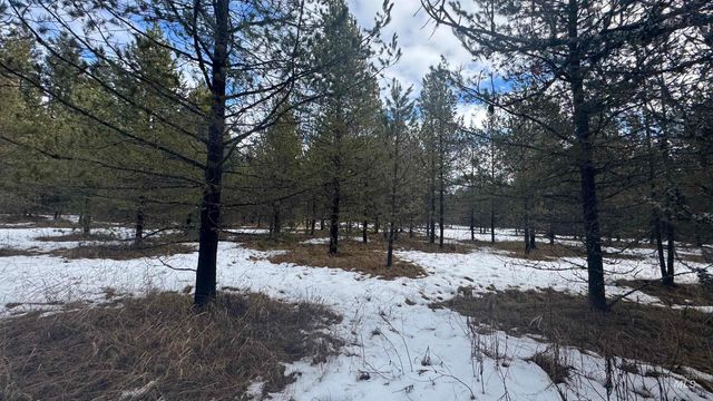 Parcel 19 Band Mill Loop Rd, Orofino, ID 83544