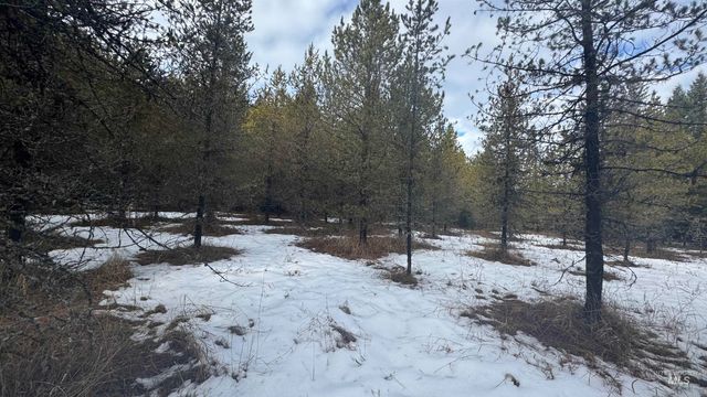 Parcel 19 Band Mill Loop Rd, Orofino, ID 83544