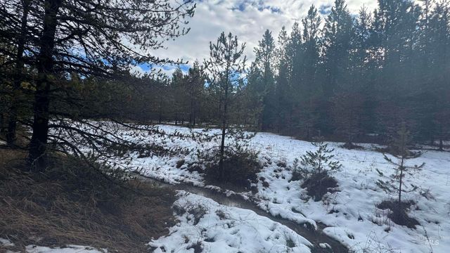 Parcel 19 Band Mill Loop Rd, Orofino, ID 83544