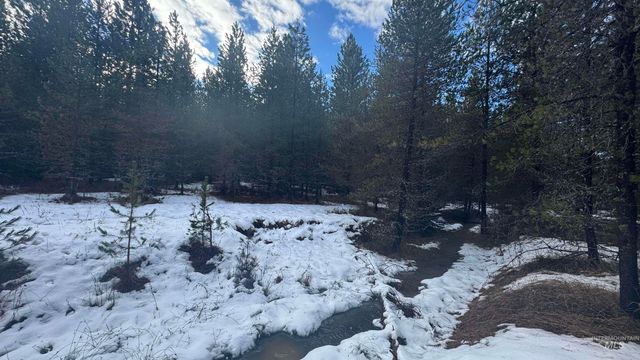 Parcel 19 Band Mill Loop Rd, Orofino, ID 83544
