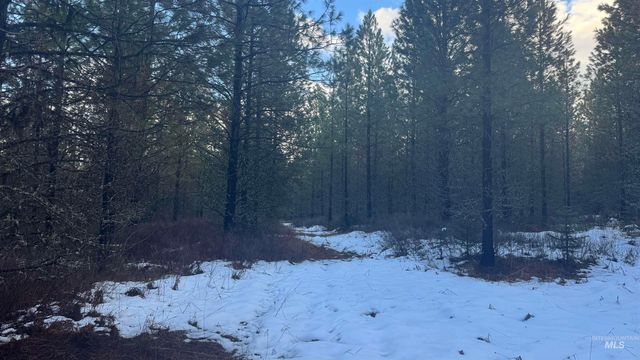 Parcel 19 Band Mill Loop Rd, Orofino, ID 83544