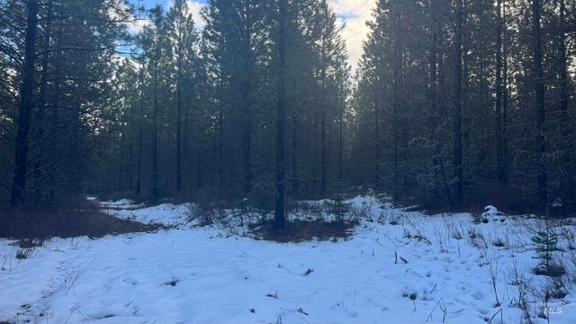Parcel 19 Band Mill Loop Rd, Orofino, ID 83544