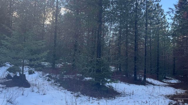 Parcel 19 Band Mill Loop Rd, Orofino, ID 83544
