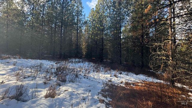 Parcel 19 Band Mill Loop Rd, Orofino, ID 83544