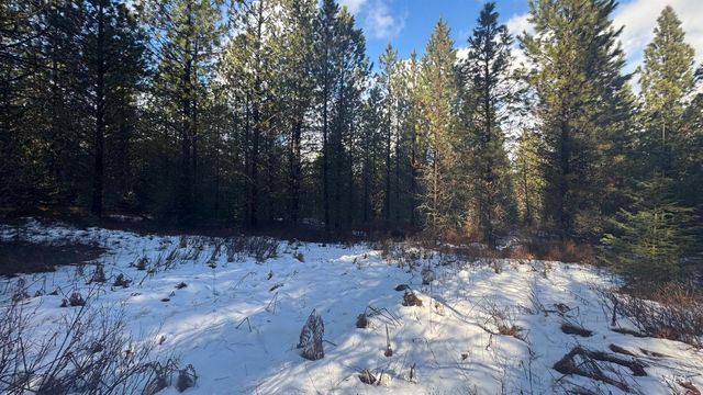 Parcel 19 Band Mill Loop Rd, Orofino, ID 83544