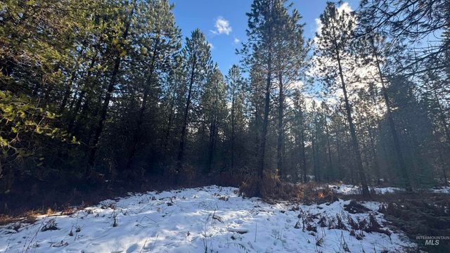 Parcel 19 Band Mill Loop Rd, Orofino, ID 83544