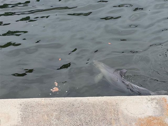 6436 DRIFTWOOD DRIVE, Hudson, FL 34667