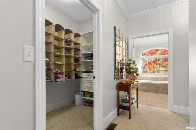 3190 OAK RUN Drive, Dahinda, IL 61428