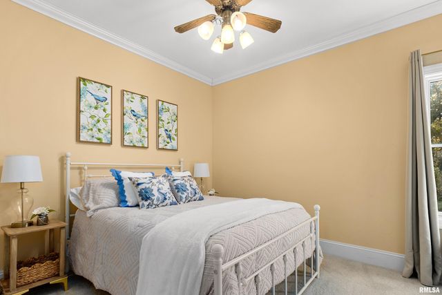 3190 OAK RUN Drive, Dahinda, IL 61428