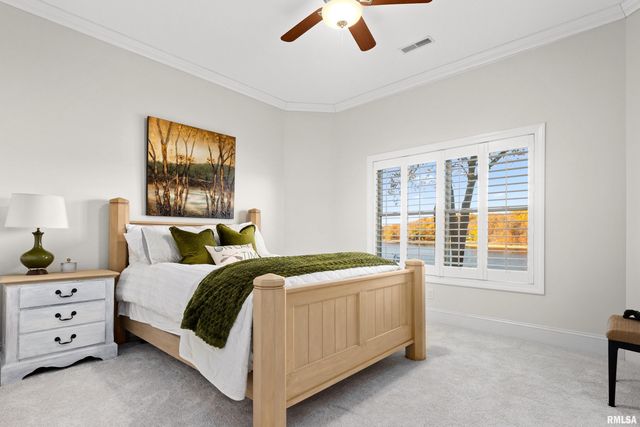 3190 OAK RUN Drive, Dahinda, IL 61428