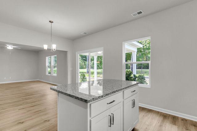 1915 Deercreek Drive, Manning, SC 29102