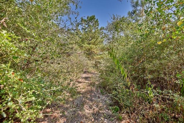 28850 Riley Road, Waller, TX 77484