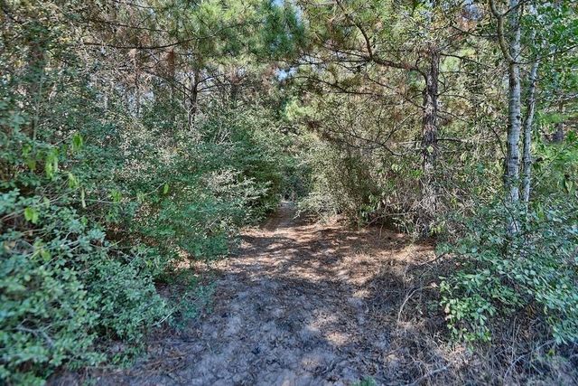 28850 Riley Road, Waller, TX 77484