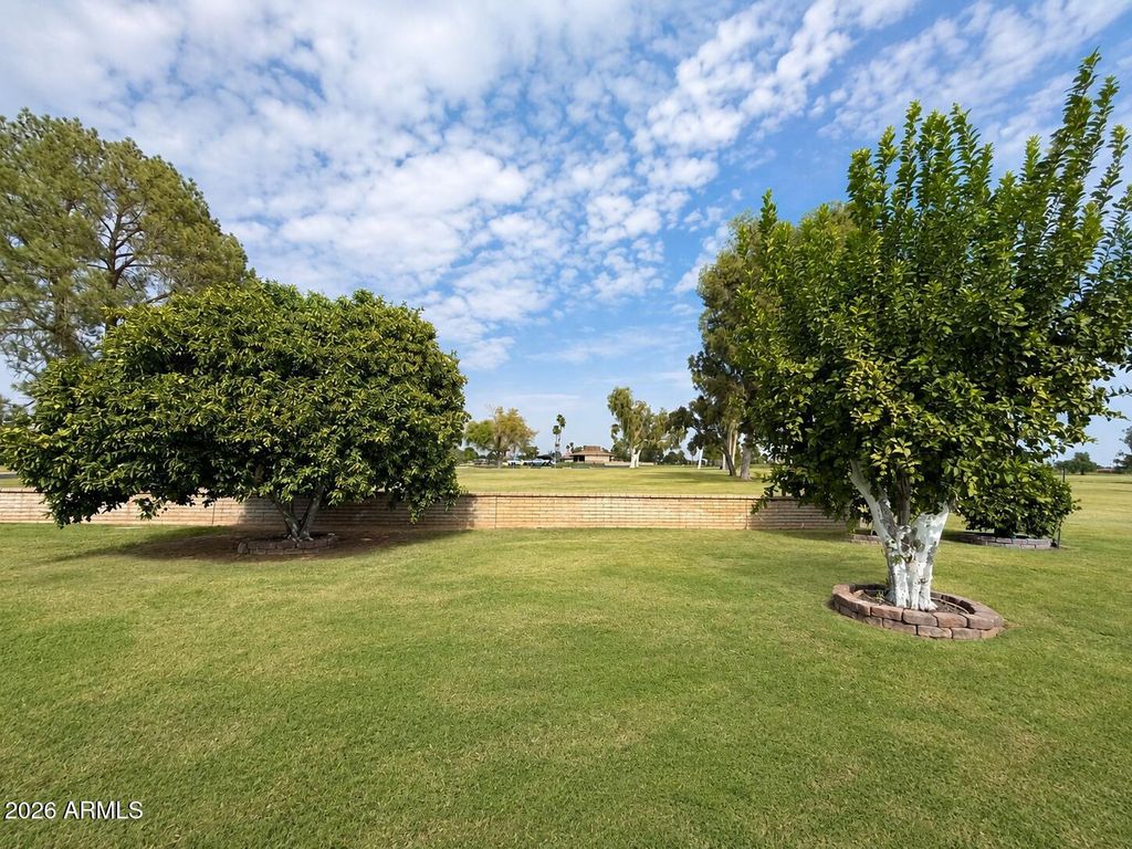 10542 W TROPICANA Circle, Sun City, AZ 85351 — photo 5