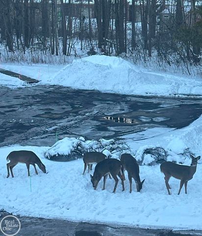 25660 S Maritime Circle, Harrison Twp, MI 48045